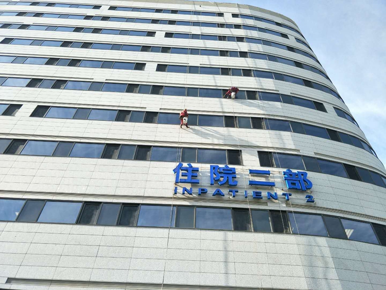 96.jpg